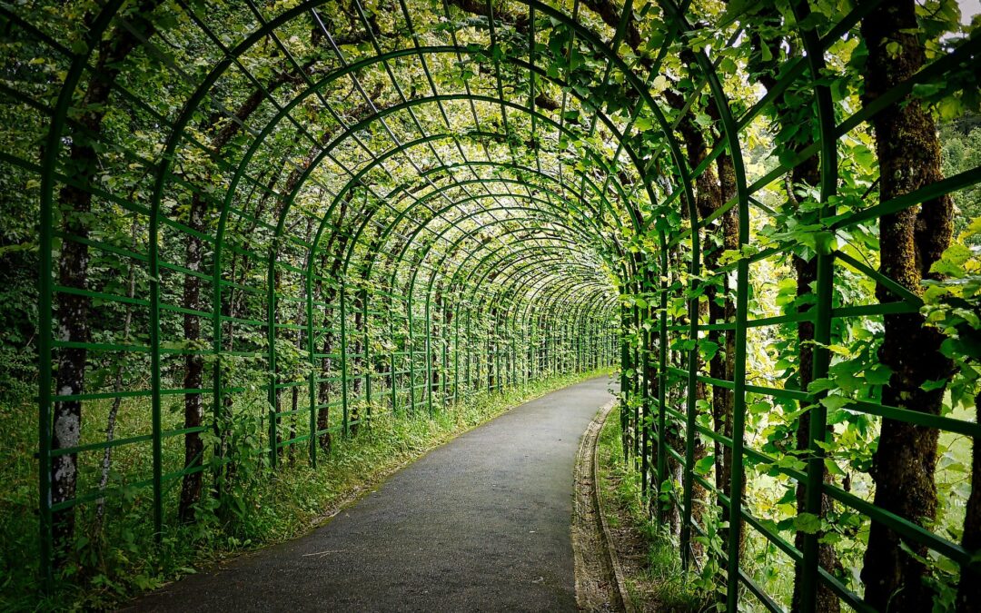 Pergola en fer à Aix-en-Provence : une touche d&rsquo;élégance pour votre extérieur