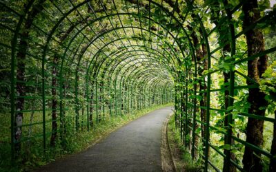 Pergola en fer à Aix-en-Provence : une touche d&rsquo;élégance pour votre extérieur